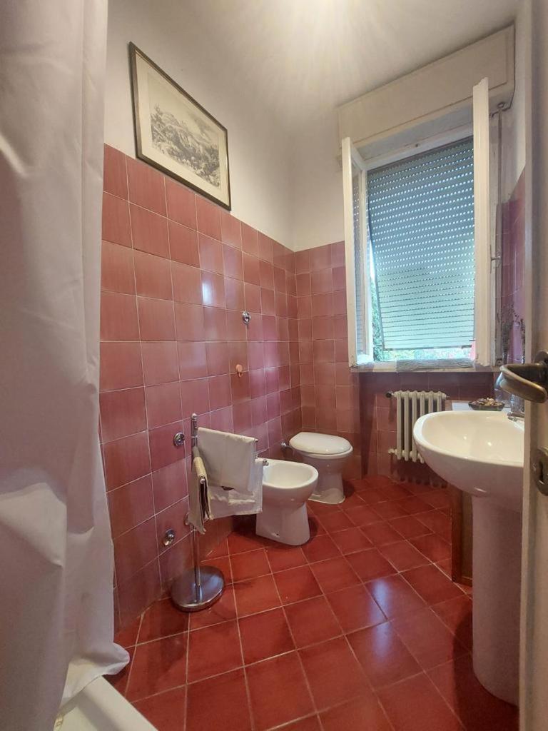 Sauro 43 Apartment Pisa Exterior photo